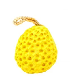 The Crème Shop Natural Sponge